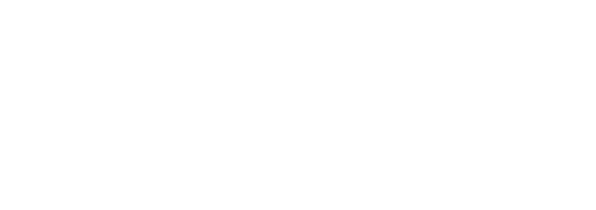PKNIC Logo